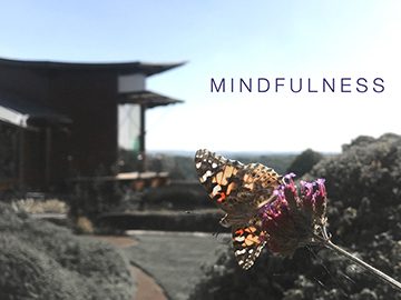 Mindfulness
