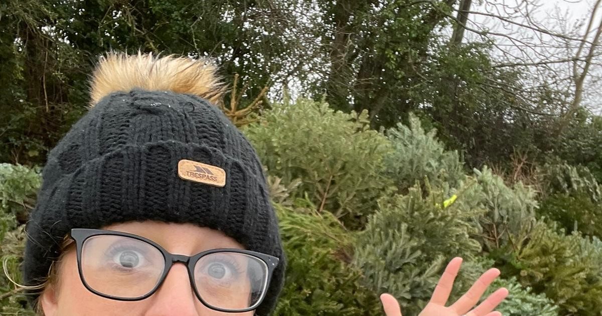 The Christmas trees that keep on giving Dorothy House