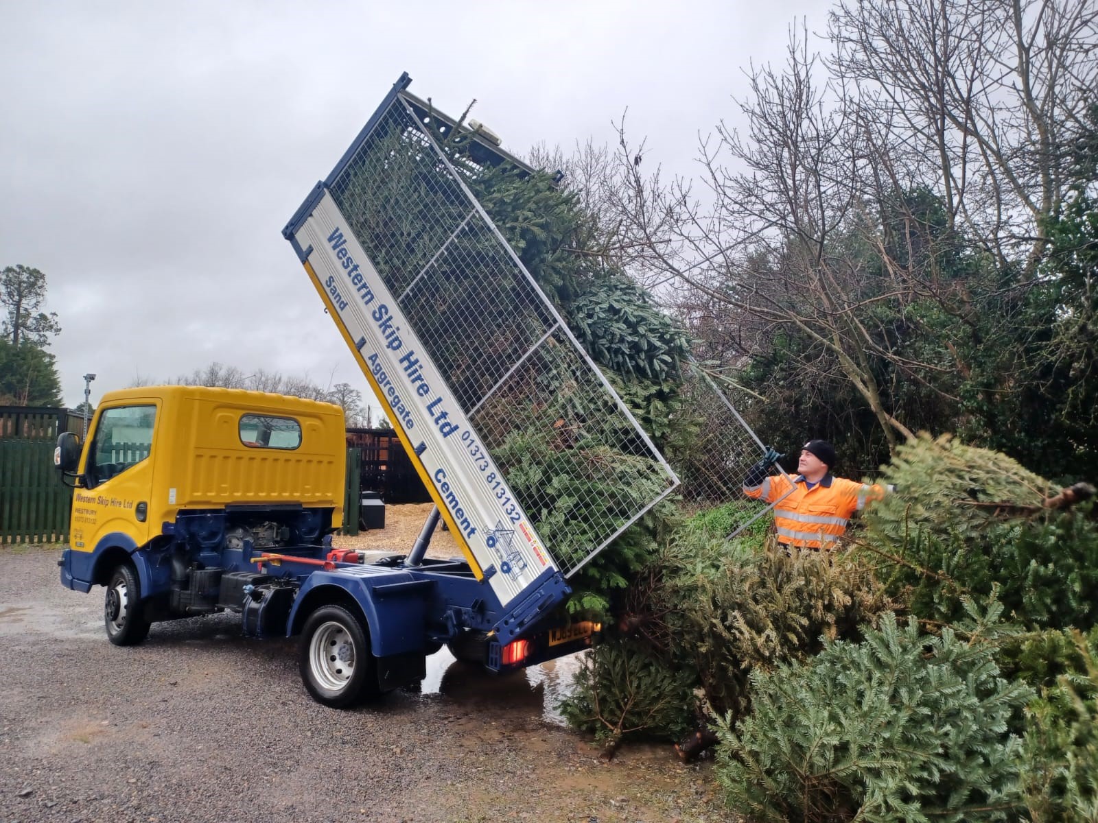 Christmas Tree Collection 2023 