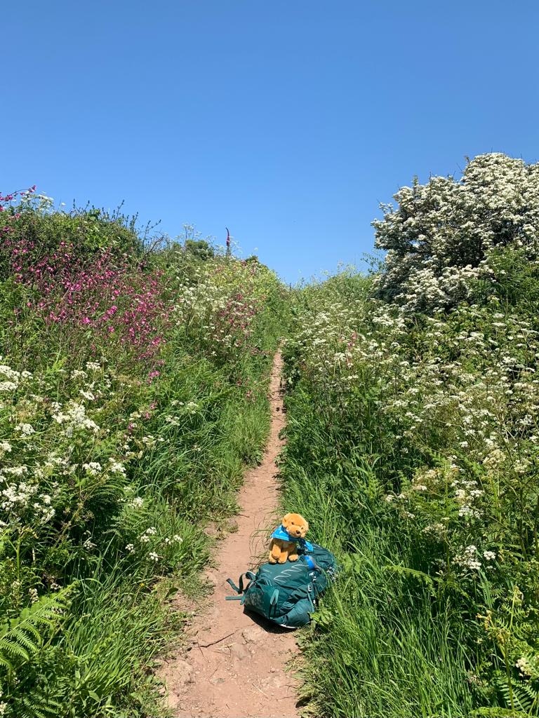 Sue Saker South West Coast Path Grief 