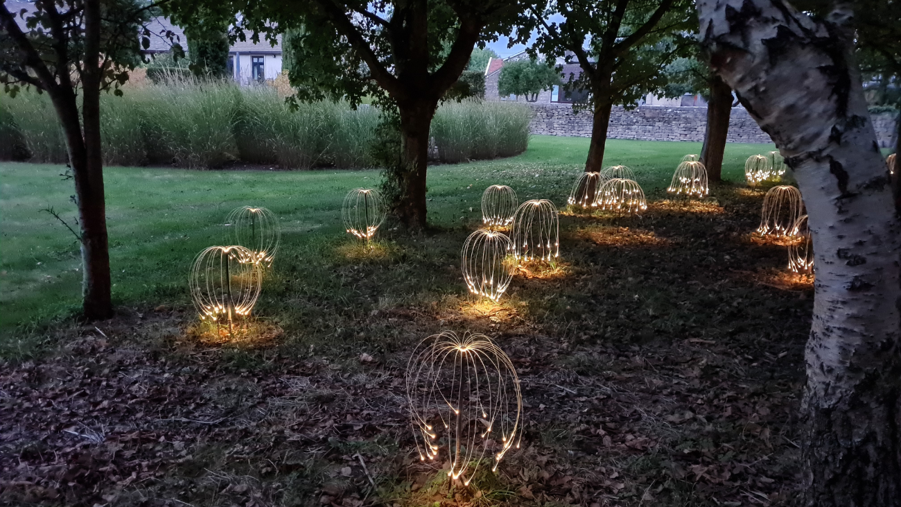 Firefly Woods at dusk