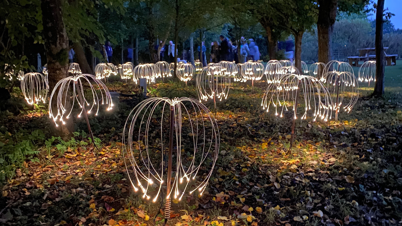 Fireflies lit up at dusk in Firefly Wood