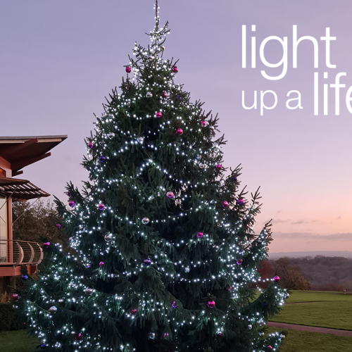 Light up a Life 2023 raises over £62,500!
