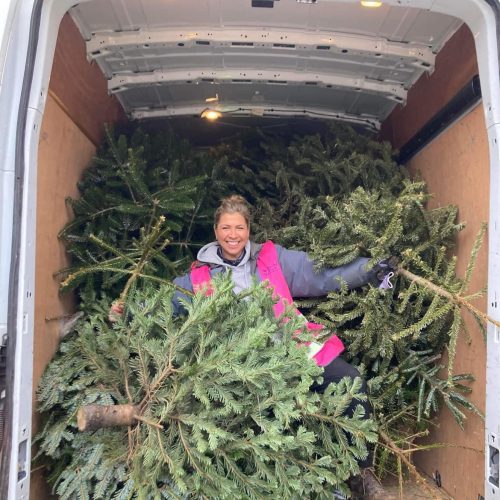 Dorothy House Christmas tree collection – a tree-umphant year for Fundraising!