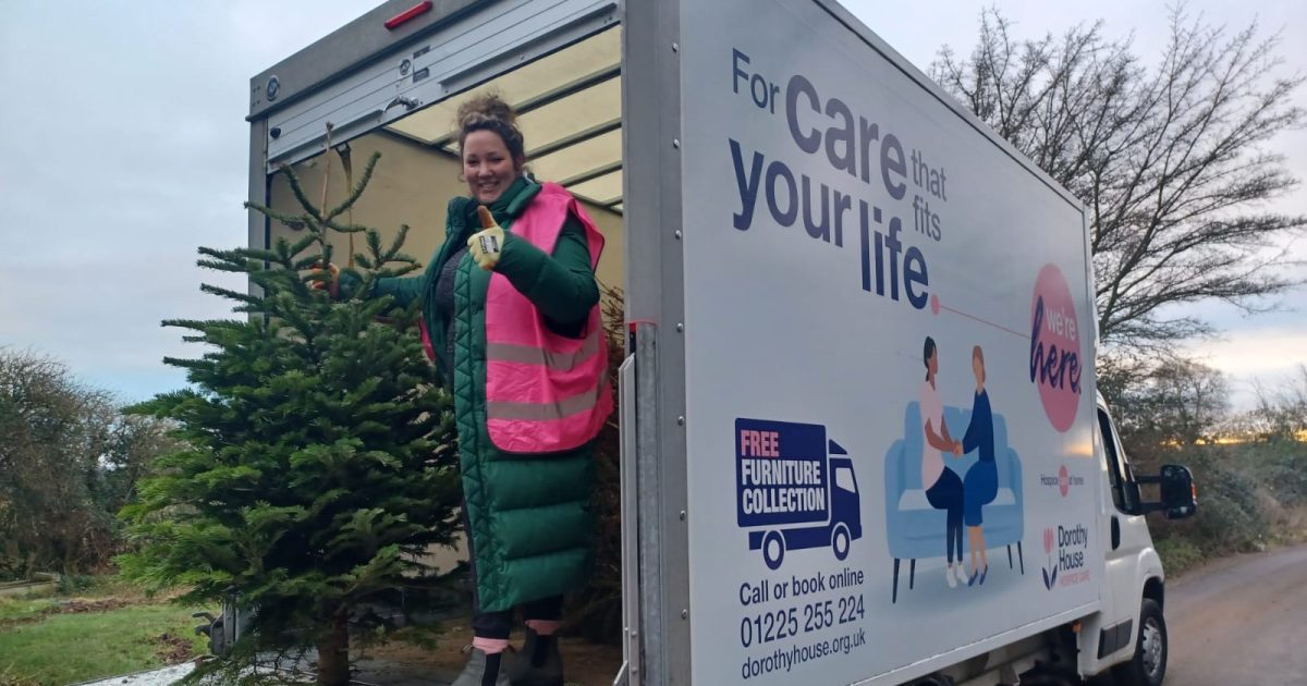 Dorothy House charity Christmas tree collection