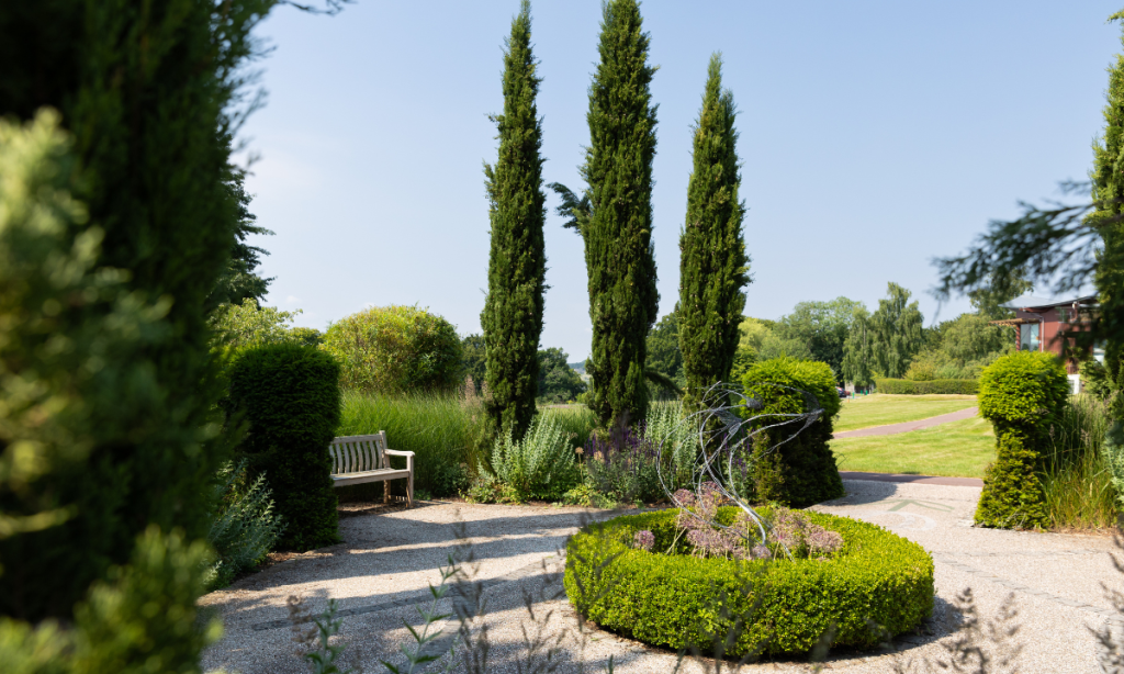 View of garden and trees at Dorothy House Hospice Care in Winsley - supporter care