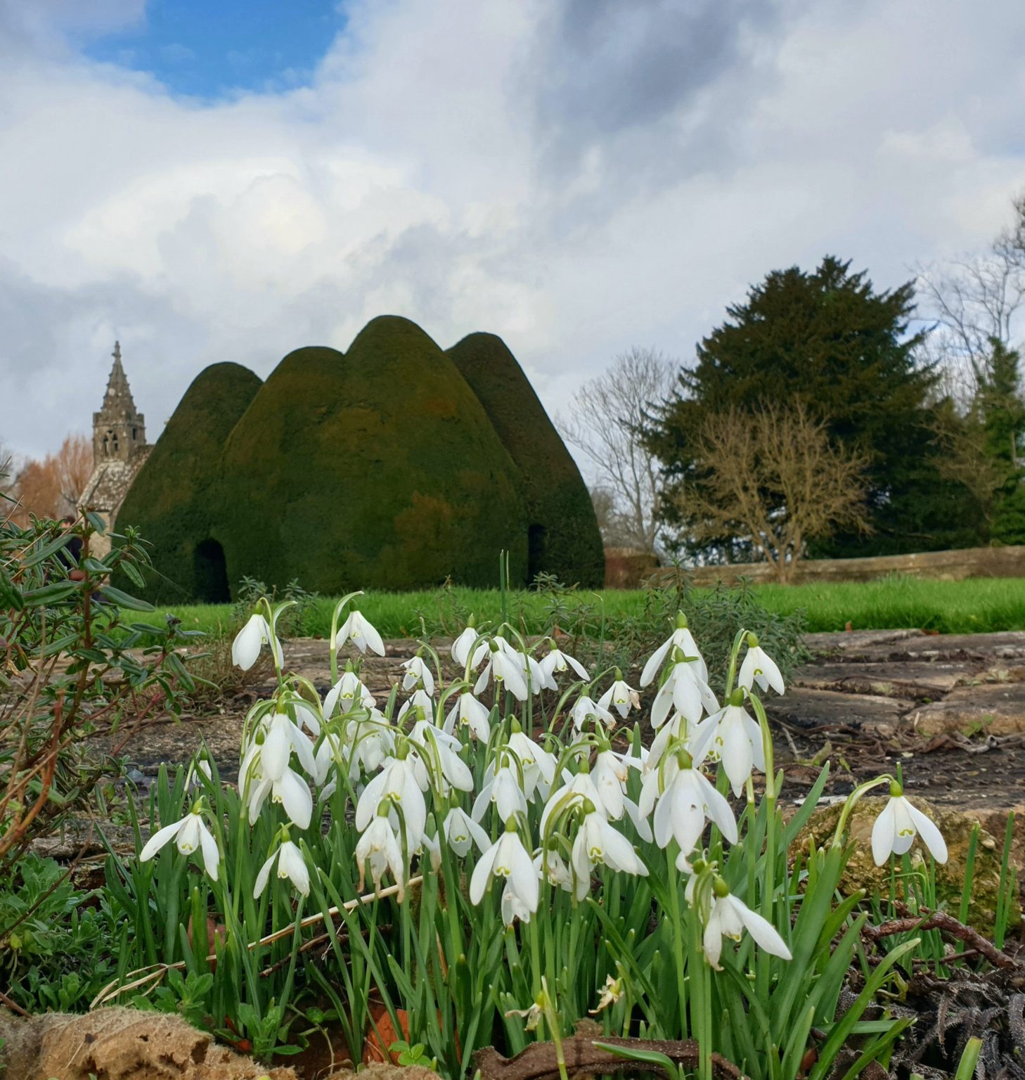 Open garden events raise funds for Dorothy House