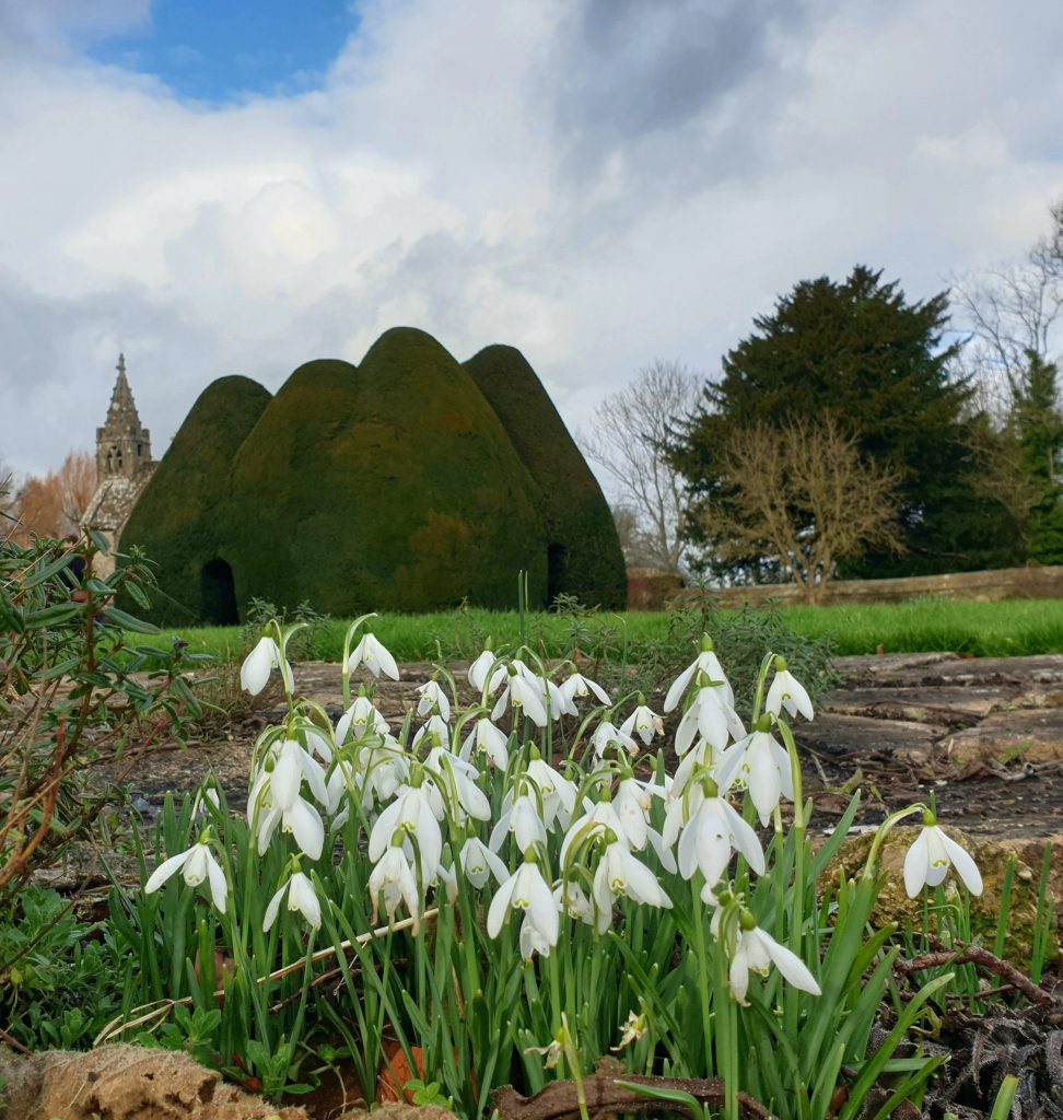 Dorothy House open garden events
