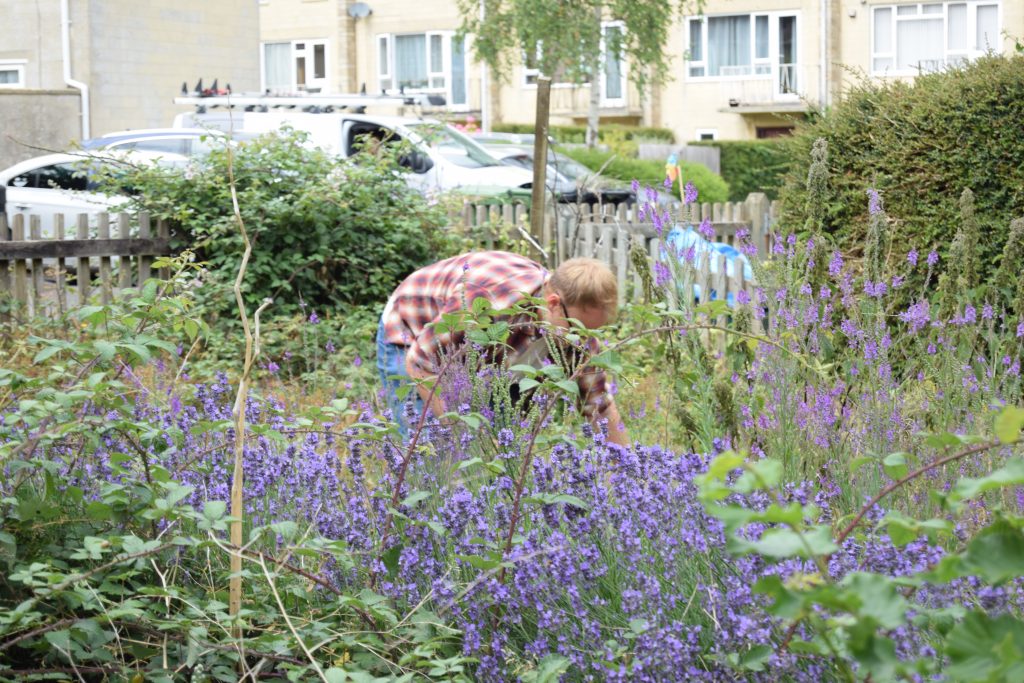Dorothy House and Grow for Life partnership