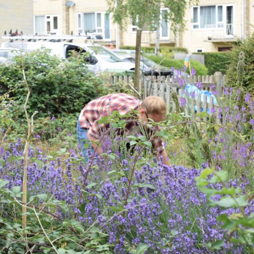 New Dorothy House and Grow for Life partnership announced