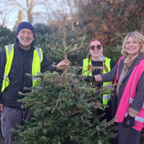 Record Christmas Tree Collection