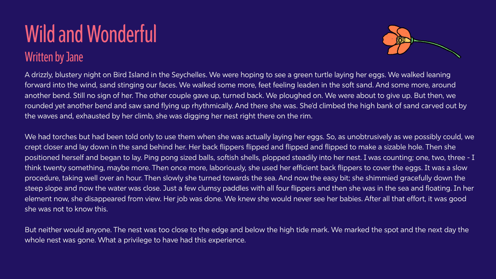 'Wild and Wonderful'